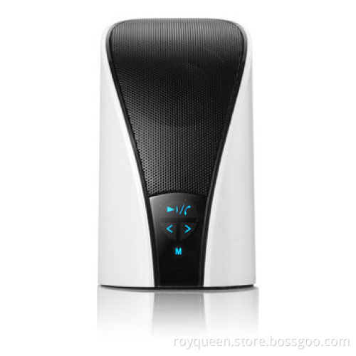 Royqueen Bluetooth speaker